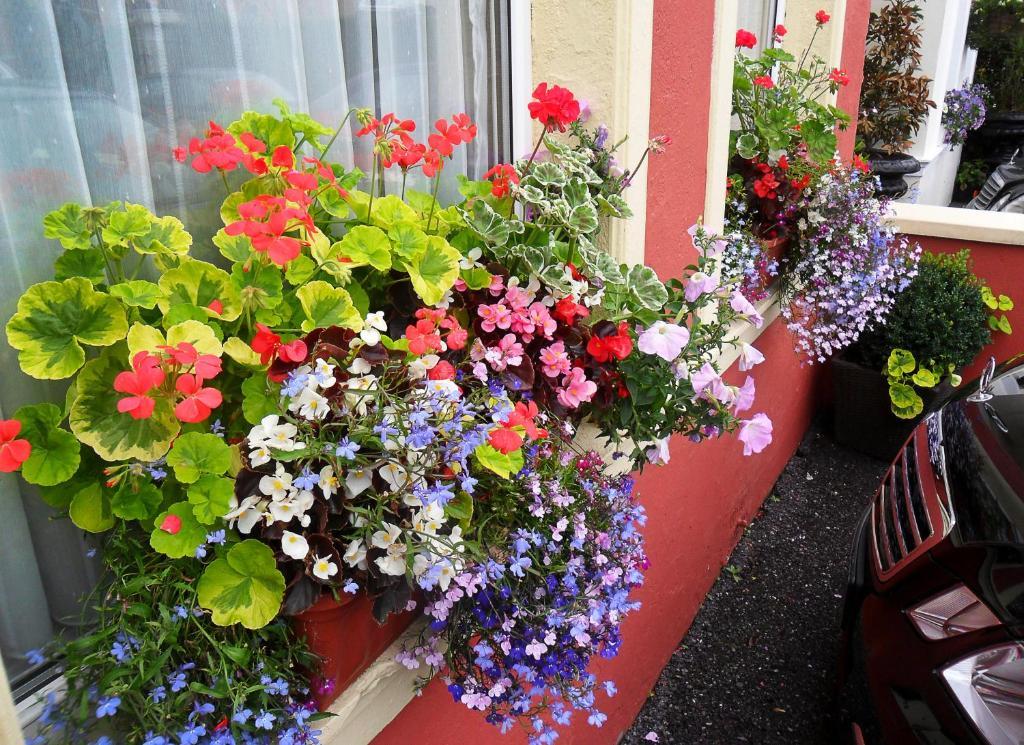 Achill House Hotel Корк Екстериор снимка